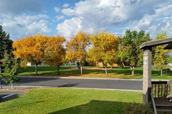A park with trees on the side of a street